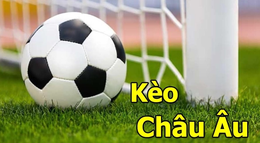 Bí quyết soi cược thật sự hay