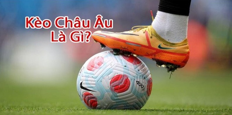 Hướng dẫn đọc thật chuẩn xác