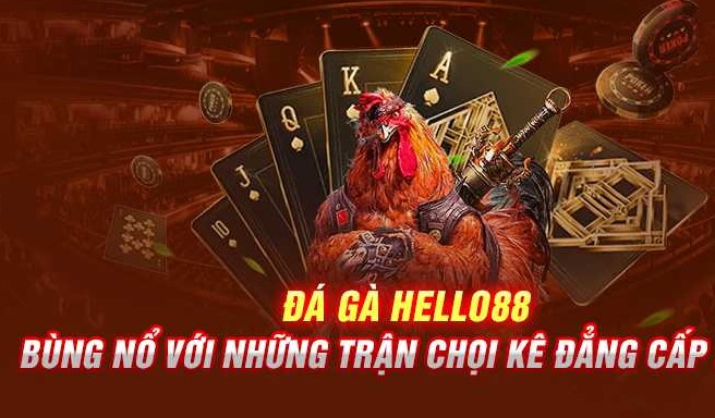 Tổng quan đôi nét về đá gà Hello88