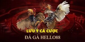 Tỷ lệ đặt cược hấp dẫn 