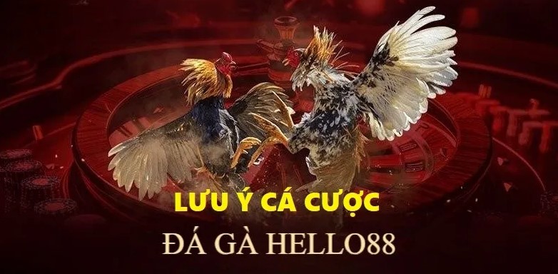 Tỷ lệ đặt cược hấp dẫn 